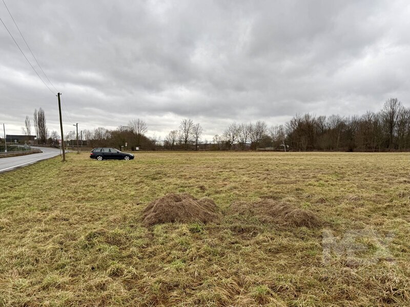 Prodej komerčního pozemku v České Skalici